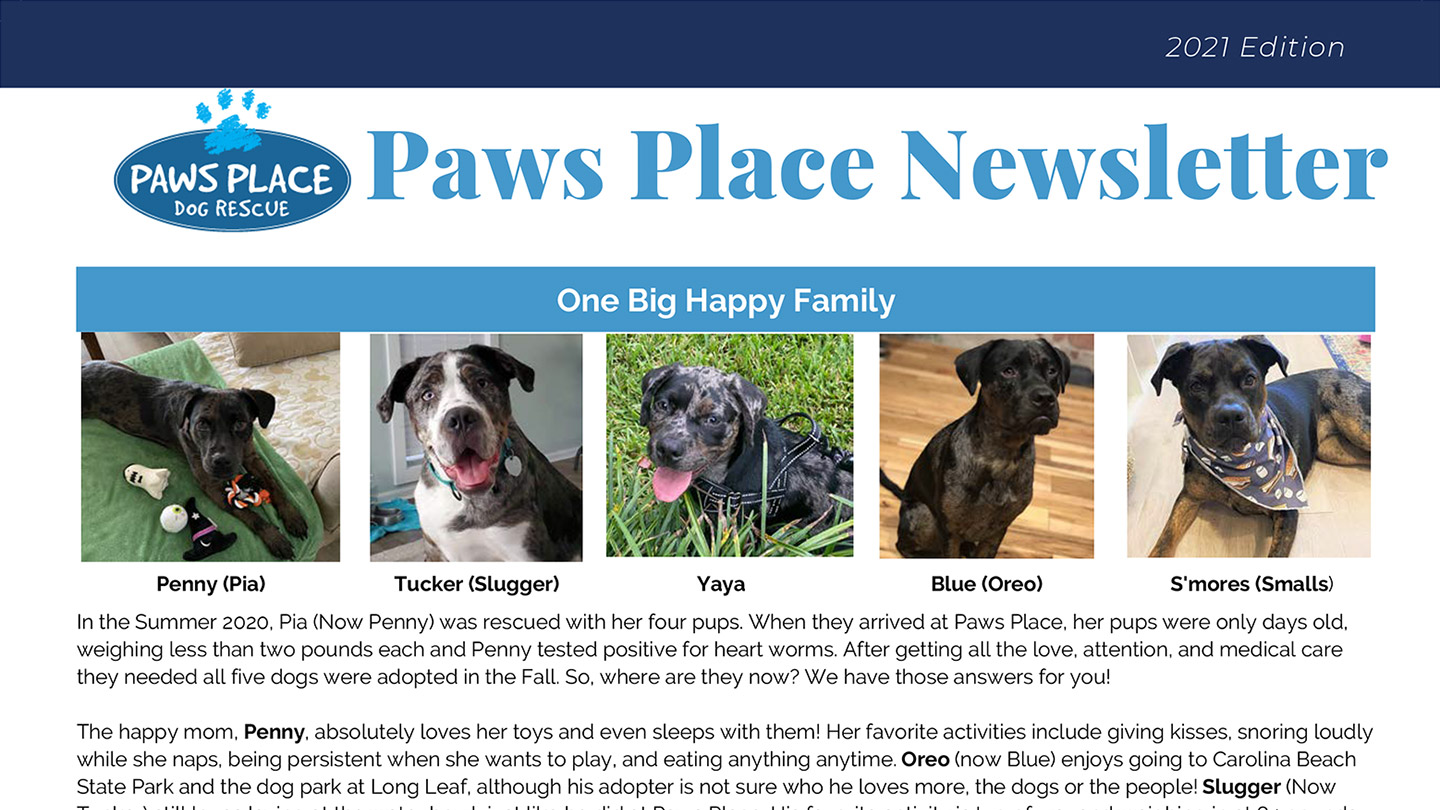 Paws Place Dog Rescue Just another WordPress site