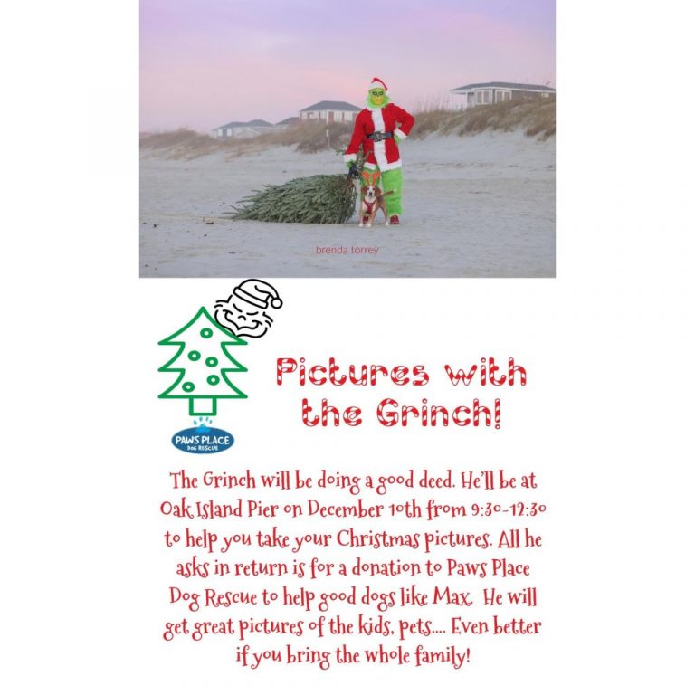 Pictures with the Grinch Paws Place Dog Rescue