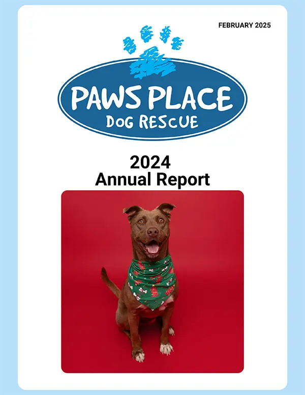 2024 Annual Report