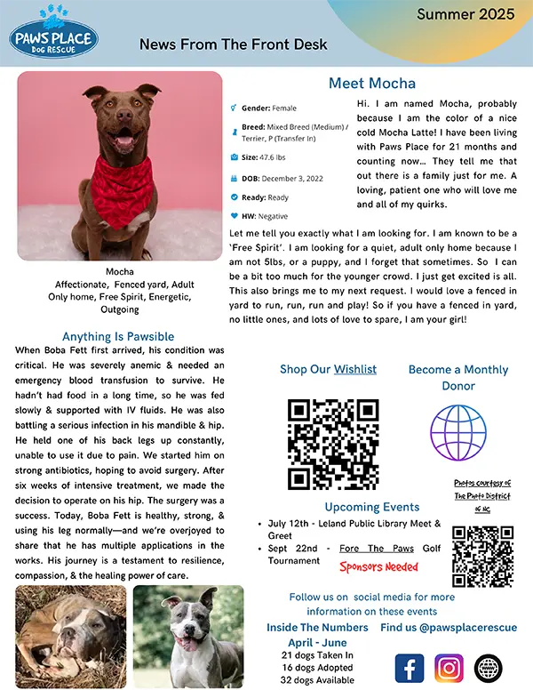 Summer 2025 Quarterly Newsletter