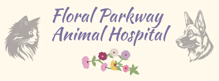 loral Parkway Animal Hospital