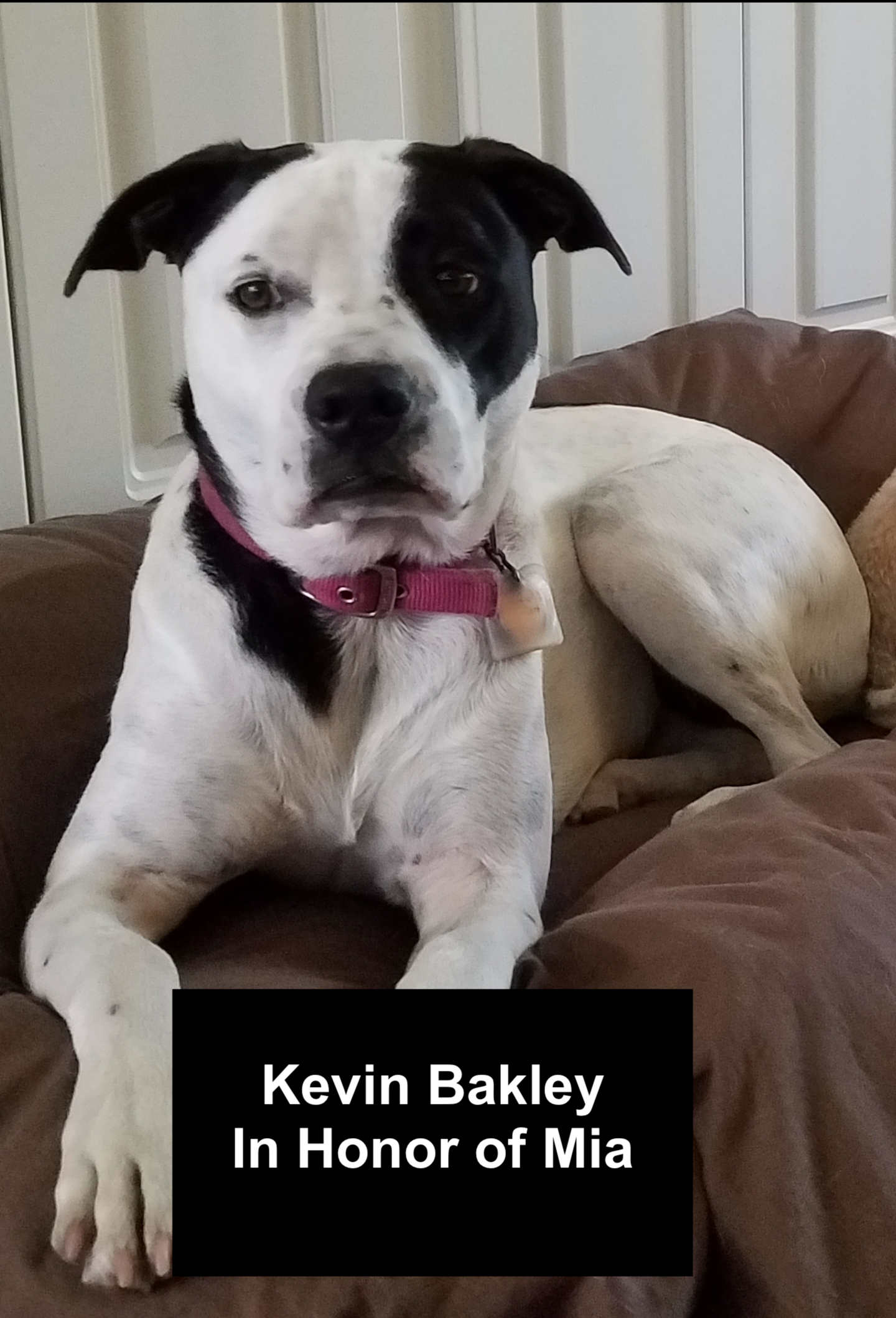 Bakley