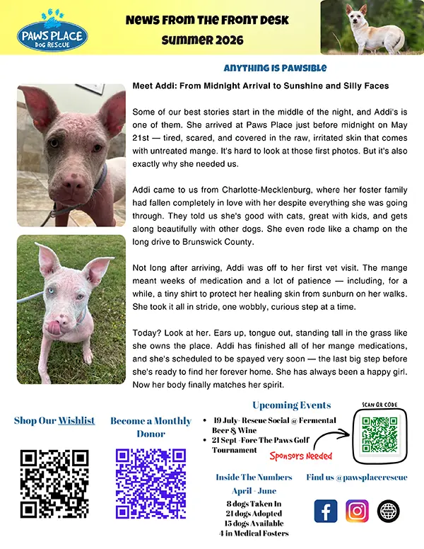 2026 Summer Quarterly Newsletter
