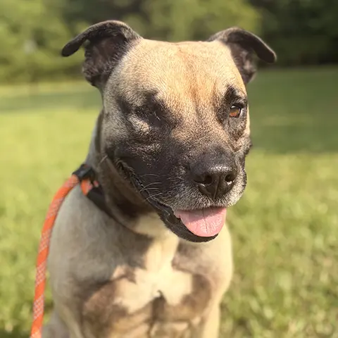 Bruce