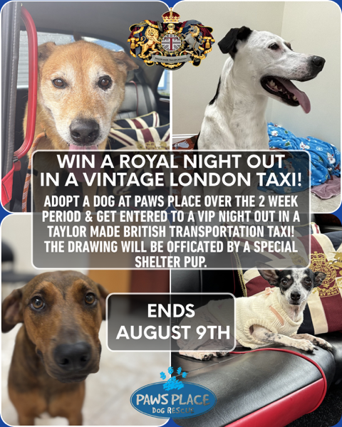 Win a royal night out