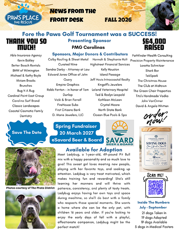 Fall 2026 Quarterly Newsletter